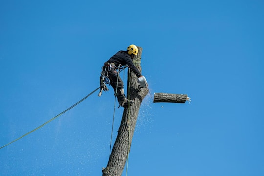 Intervention professionnelle sur un plancher résidentiel